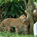 나무PC방 이미지