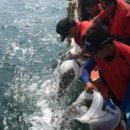 박영철목장 이미지