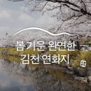 연화지보리밥식당 | 봄기운 완연한 김천 연화지 벚꽃 여행 :: 김천 여행, 김천 가볼 만한 곳