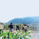밀알농장 이미지