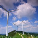 클럽 롯데 이미지