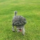 봄이야 놀자 이미지