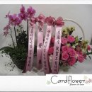 궁동어린이집 이미지