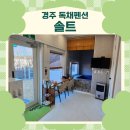 세븐일레븐 경주양북점 | 애견 동반 가능! 캠핑 분위기 개별 바비큐 가능, 대형 자쿠지가 있는 독채! # 경주 솔트 #