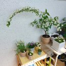회문산 캠핑장