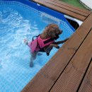 까망베르2호점 이미지