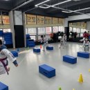 STS한국체대태권도 이미지