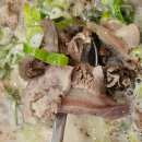 1959진한순대국 | 남위례역 맛집 전통맛집할매순대국! 주말 가족 외식으로 다녀온 진한 순대국 맛집 후기