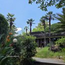 제주에 산다 | [제주 중문 카페] 나혼자산다 코쿤이 다녀간 중문별장 커마카세 후기