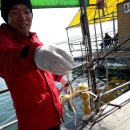 훼미리호 좌대낚시터 이미지