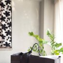 유노이아 이미지