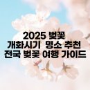 하나미보문점 | 오늘 동네 벚꽃명소부터 유명관광지까지