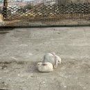 새연 | 가평 새연 카라반 글램핑 후기 ⛺️