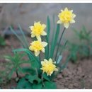 아름다운 이미지