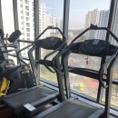 자이언트 피트니스 네이버블로그