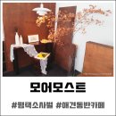 모어모스트(more most), 애견 동반 가능한 소사벌 카페