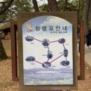 송림다원 | 영월 청령포 주말 오픈런 후기, 대기시간 할인 주차팁