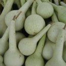 샘밭농장 이미지