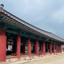 선운사의추억 | [고창 가볼만한곳] 고창 선운사 가족여행 주차꿀팁/만세루 다도체험