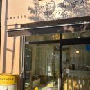 솜사탕 애견미용실 | 빛날시간, 포메라니안 물개컷 스트레스없이 잘 해주는 김포사우 애견미용실 내돈내산후기