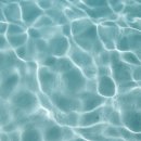 연못 속 풍경 이미지