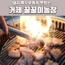 꿀꿀이농장 | 거제 식물원근처 맛집 꿀꿀이농장 오겹살 특수부위 정글돔 찐맛집