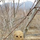 동무지농장 이미지