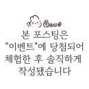 포항회수산 네이버블로그