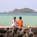 제주마중in판포 이미지