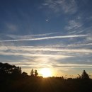 큰소낭 작은돌집 이미지