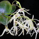 행복의아침 이미지