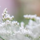 바람하늘,나 브런치