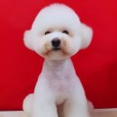 개린이미용실 이미지