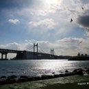 금강횟집 이미지