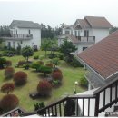 제주허브동산 이미지