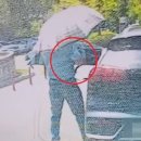 햇빛 쨍쨍한데 우산 쓴 남의 차 옆서 어슬렁 가방 훔치다 체포 기사 이미지