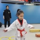 국예태권도장 이미지