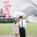 청운안경 | 안 보면 손해인 대륙의 존잘남 장릉혁X서약함 중드 애니 널 사랑해 후기 출연진