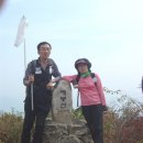 율리2농장 이미지