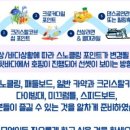 에이엔티투어