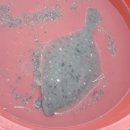 오투오션1 이미지