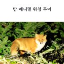 이오농장 | 일본 최북단 대자연의섬 홋카이도 여름 여행 시리즈 9편 : 도동여행이란 무엇인가? 오비히로, 구시로...