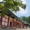 죽도봉길 이미지