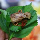 청주서문시장 삼겹살거리 이미지