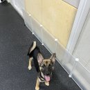 멍스가든 이미지