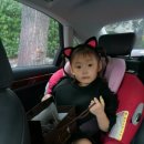 헤어쥬키
