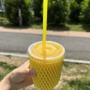 오천골드클레스 | 순천 오천지구 [고망고] (취향개조) 식후땡망고 만족후기🥭🥭