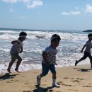 강구초등학교병설유치원 이미지