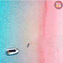 핑크비치 이미지