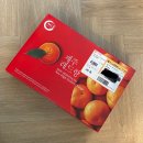 한길농장 | 제주도 레드향 제철 시기, 한길올레농장 내돈내먹 후기